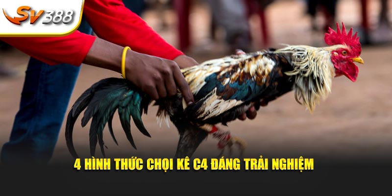 4 hình thức chọi kê C4 đáng trải nghiệm