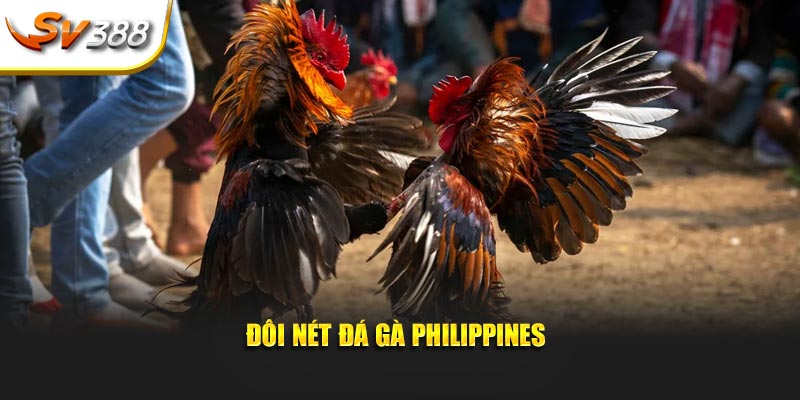Đôi nét đá gà Philippines