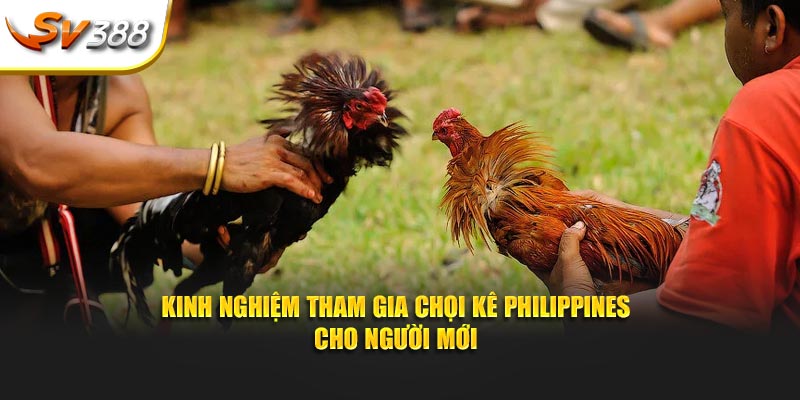 Kinh nghiệm tham gia chọi kê Philippines cho người mới