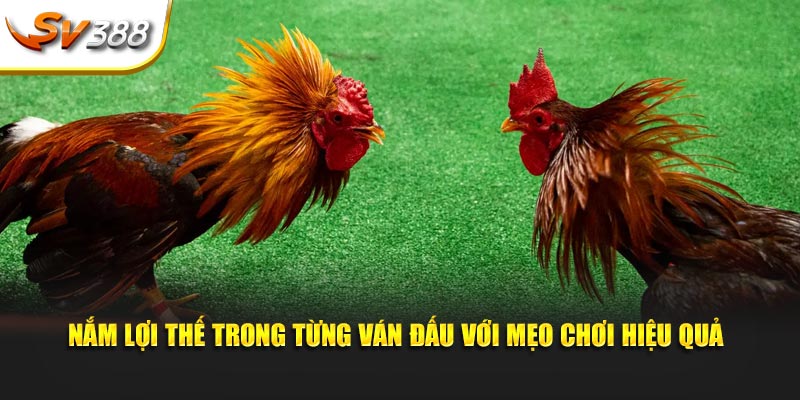 Nắm lợi thế trong từng ván đấu với mẹo chơi hiệu quả