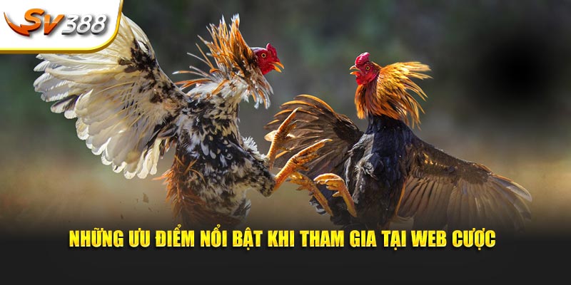 Những ưu điểm nổi bật khi tham gia tại web cược