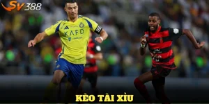 Kèo tài xỉu