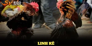 Linh kê
