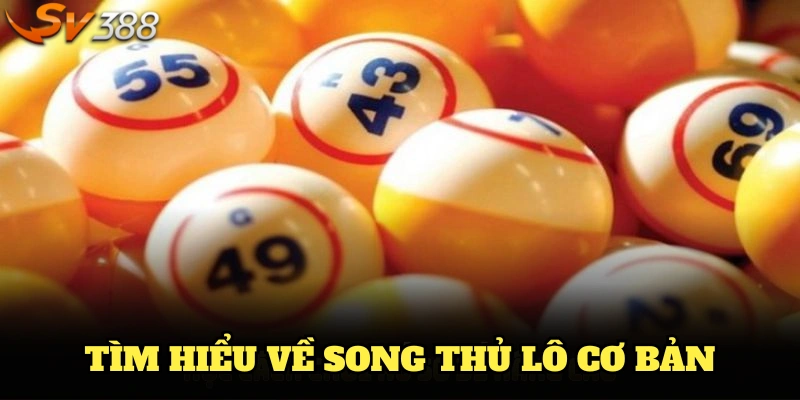 Tìm hiểu về song thủ lô cơ bản cho người mới
